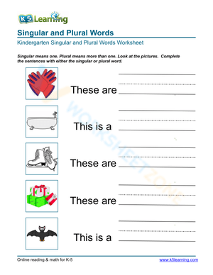 Singular and Plural Words 2