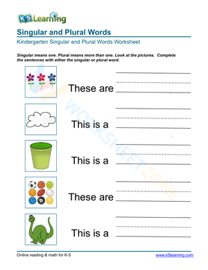 Singular and Plural Words 5