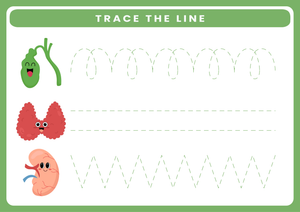 Pre-Writing Tracing Worksheet | Printable Pre-K Science