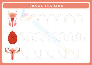 Preschool Tracing Worksheet | Essential Fine Motor Ready