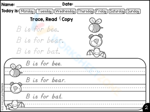 B is for bee: Trace, Read, Copy Sentences