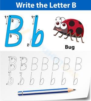 B is for Bug: Introduction to Letter B