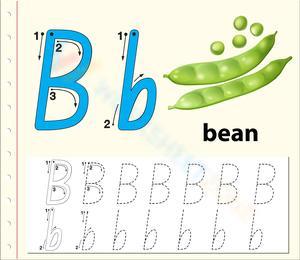 Letter Tracing: Practice Writing the Letter 'B'
