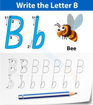 B is for Bee: Fun and Easy Letter B