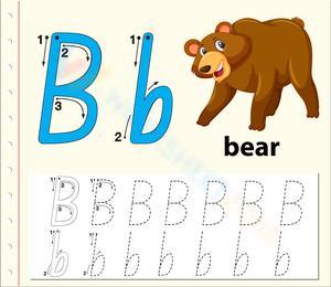 B is for Bear: Fun with Letter B Concepts