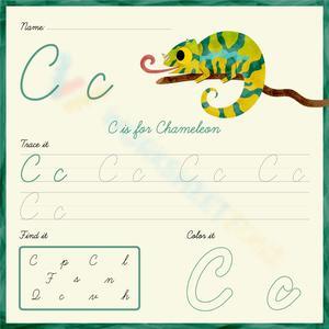 Trace, Find, and Color the Cursive C Worksheet