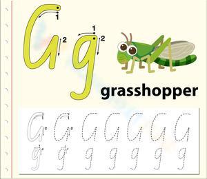'G' is for Grasshopper Worksheet