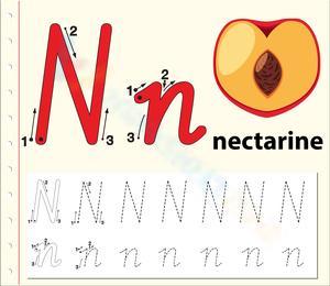 N is for Nectarine Worksheet