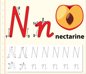 N is for Nectarine Worksheet