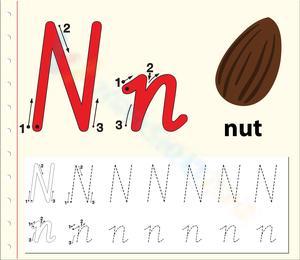 Letter N Tracing: N is for Nut