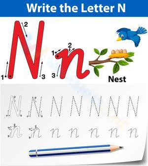 N is for Nest Worksheet