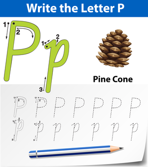 Printable Letter P Tracing Worksheet | Grade K