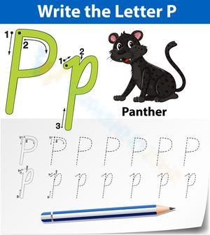 Write the Letter P Activities 