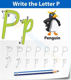 Letter P Worksheet: P is for Penguin