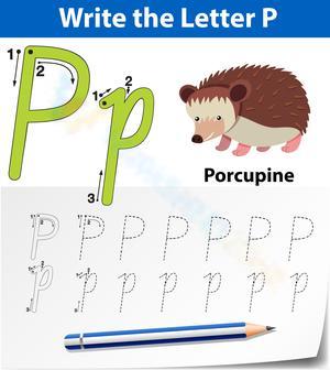 Trace Letter P Worksheet with Porcupine