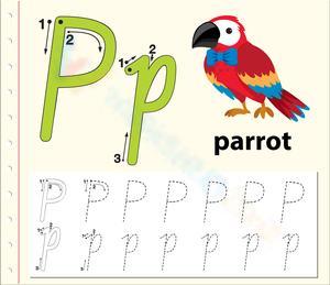 Parrot Power! Letter P Tracing Fun