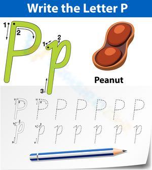 Letter P Worksheet: P is for Peanut