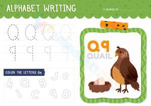 Q is for Quail!  Alphabet Practice Fun