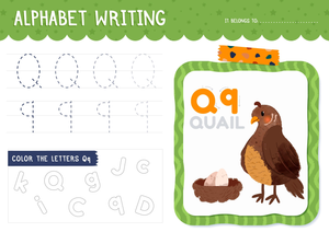 Q is for Quail!  Alphabet Practice Fun