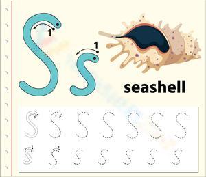 S is for Seashell Worksheet