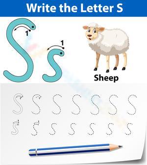 S is for Sheep Worksheet