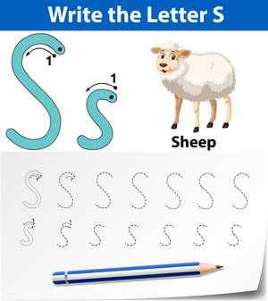 S is for Sheep Worksheet