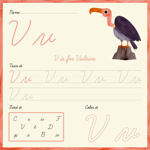 Printable Cursive Letter V Worksheet | Grade 1