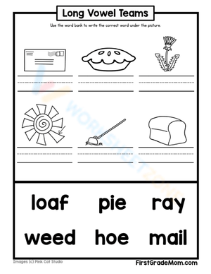Explore Vowel Teams with Fun Worksheet