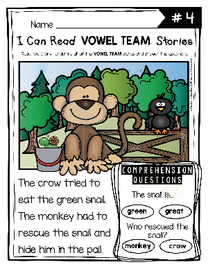 Vowel Team Reading Comprehension And Phonics Worksheet