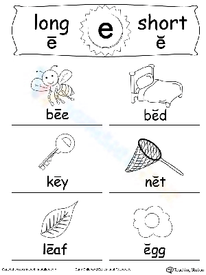 Explore Long and Short E