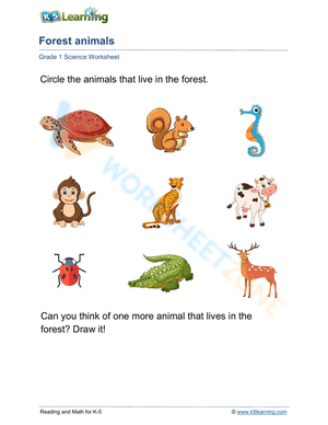 Forest animals by someone
