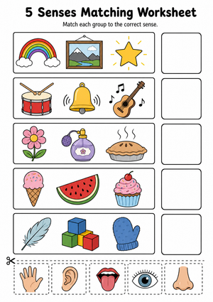 Printable 5 Senses Matching Worksheet | Grade 5 Science