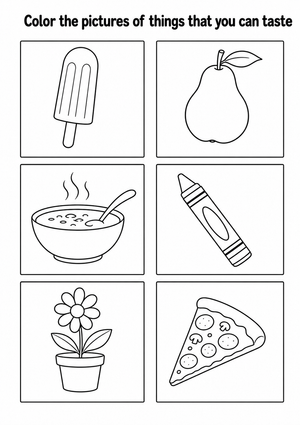 Grade 5 5 Senses Taste Worksheet | Printable Science