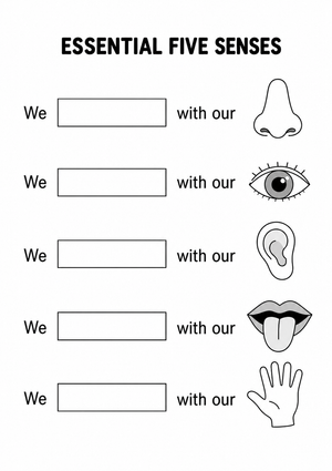 Grade 5 Five Senses — Printable No-Prep Worksheet