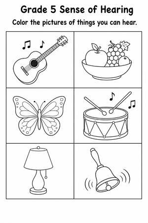 Grade 5 Sense of Hearing — Printable No-Prep Worksheet