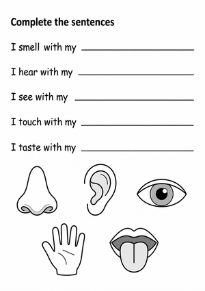 Grade 5 Five Senses — Printable No-Prep Worksheet