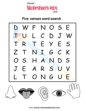 5 sense - 8