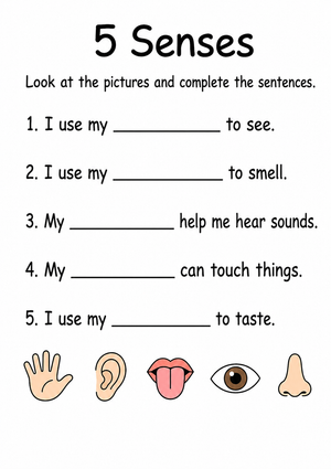 Grade 5 Five Senses — Printable No-Prep Worksheet