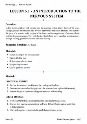Complete Nervous System Worksheet | Grade 8 Science