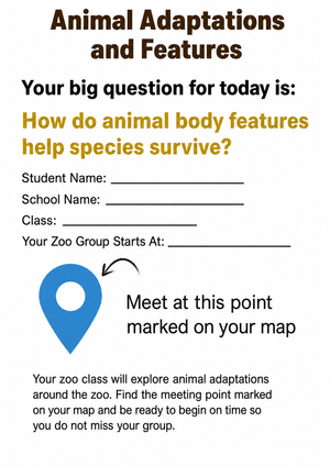 Grade 4 Animal Adaptations — Printable No-Prep Worksheet