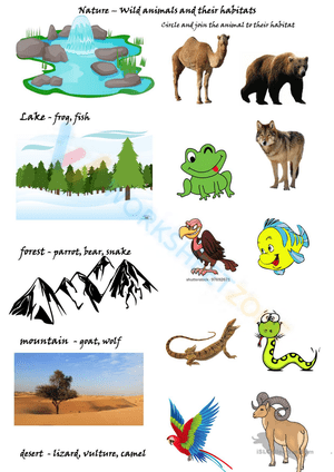 Wild Animals and Their Habitats – Circle & Match Worksheet
