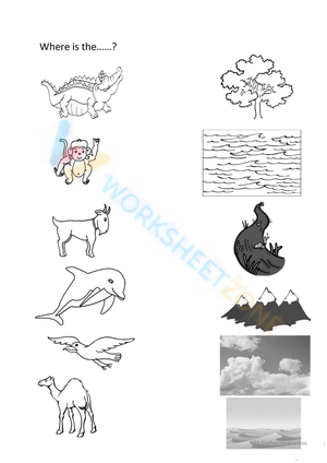 Learn About Animal Habitats