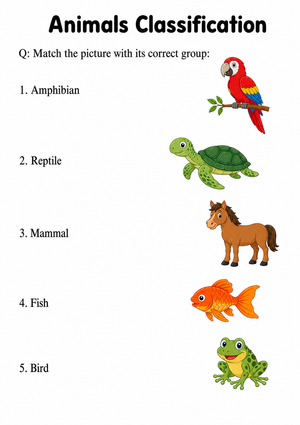 Grade 1 Animal Classification — Printable No-Prep Worksheet
