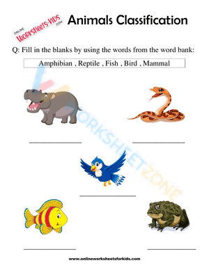 Animals Classification Worksheet For 1st Grade 10
