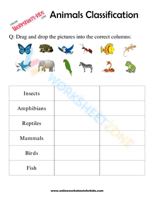 Animals Classification Worksheet For 1st Grade 2