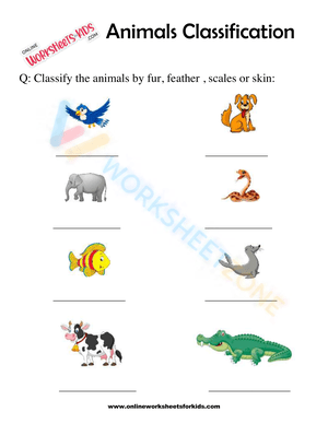 Animals Classification Worksheet For 1st Grade 3