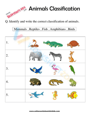 Animals Classification Worksheet For 1st Grade 4