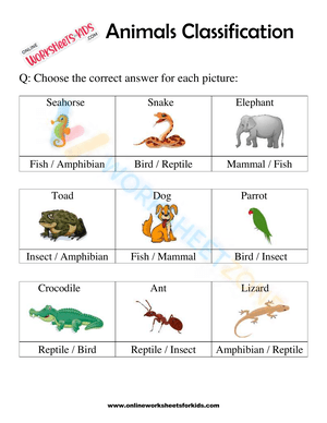 Animals Classification Worksheet For 1st Grade 5