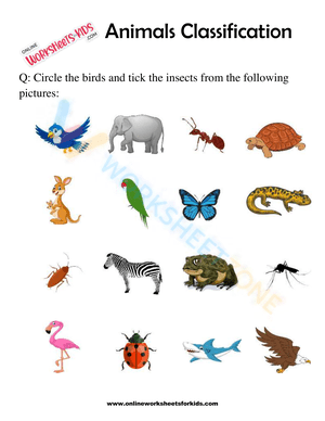 Animals Classification Worksheet For 1st Grade 7