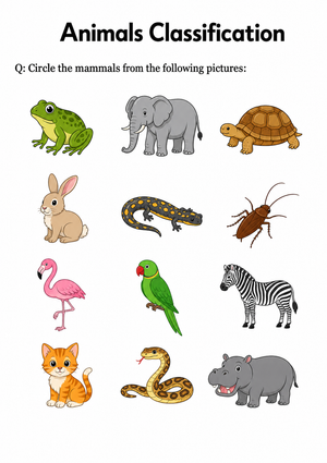 Grade 1 Animal Classification — Printable No-Prep Worksheet